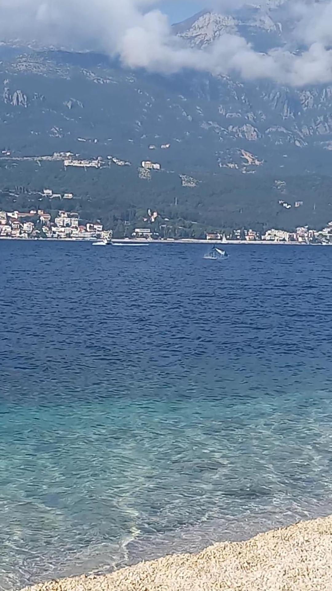 Apartmani Milena Herceg Novi Exteriér fotografie